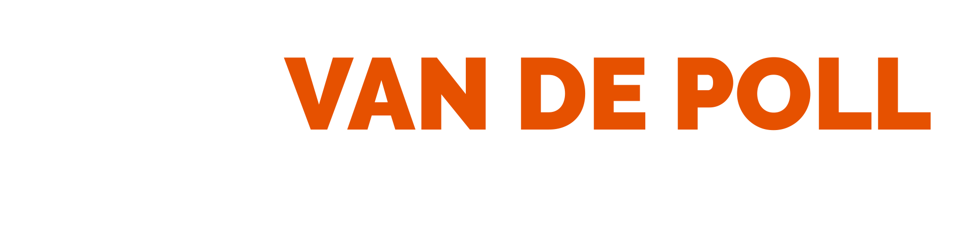 Logo vdpoll white